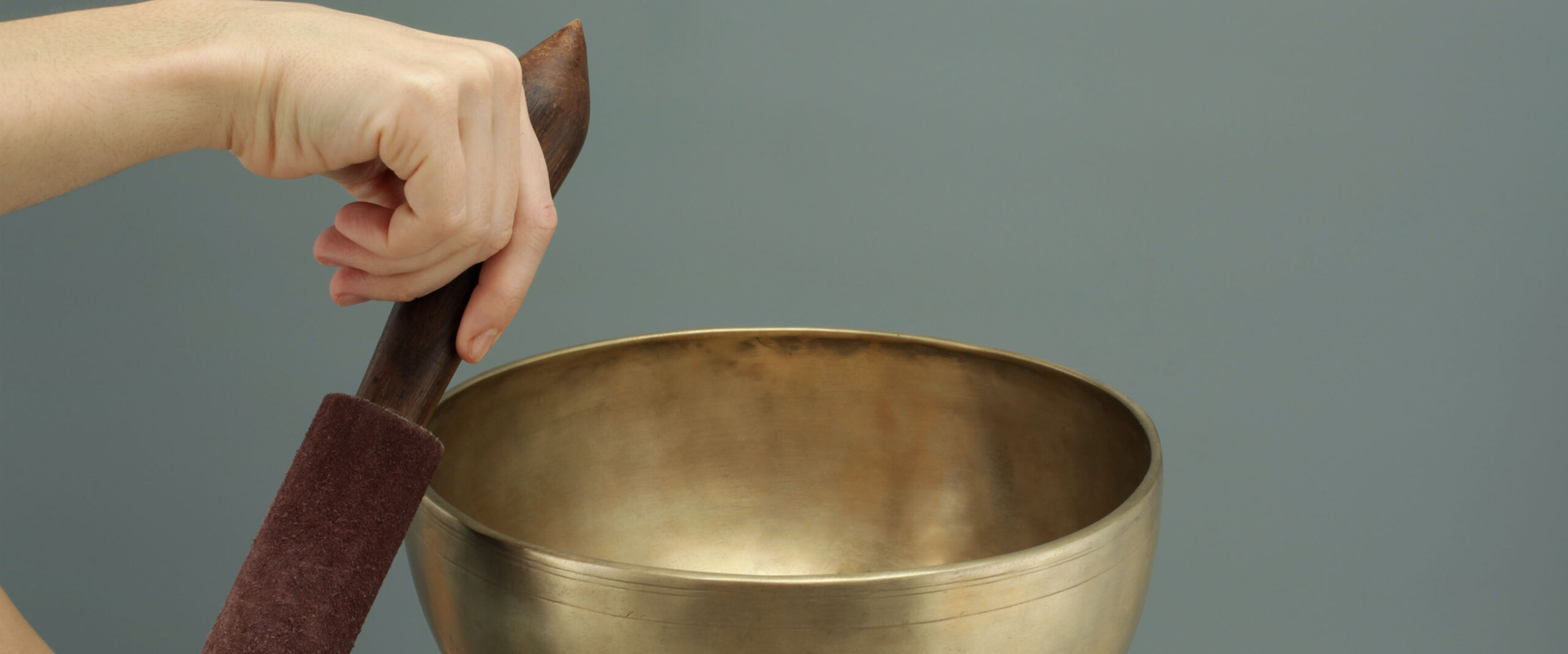 pexels-magicbowls-3543716-Header